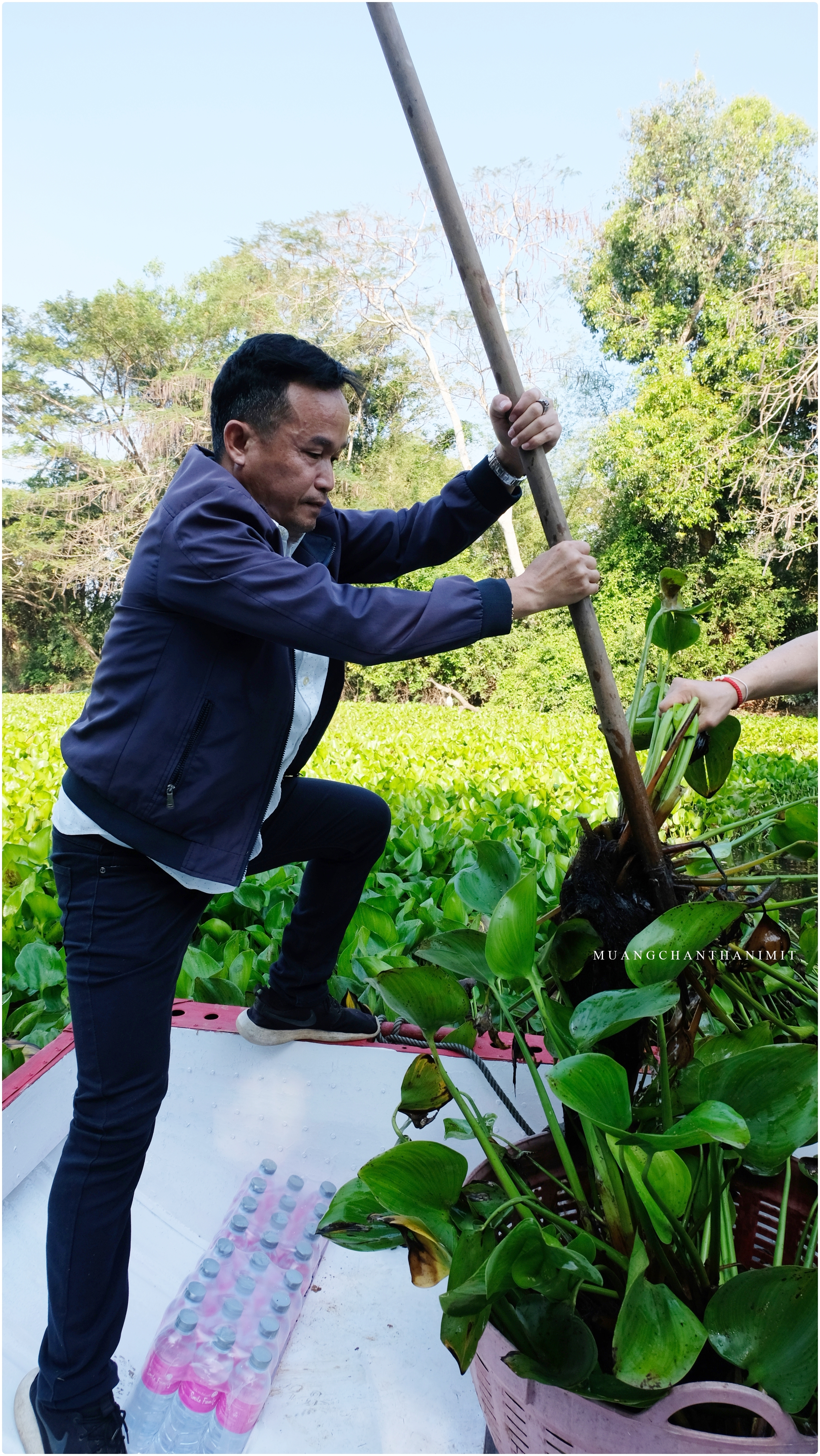 ฟฟห
